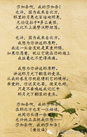叶赛宁的诗歌短图片